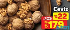 CEVİZ KG CEVİZ KG